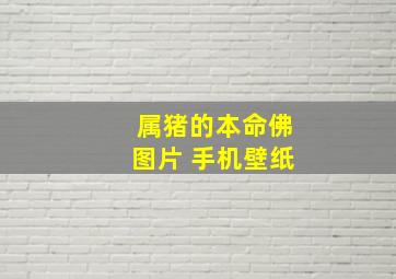 属猪的本命佛图片 手机壁纸